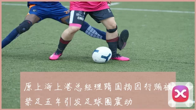 原上海上港总经理隋国扬因行贿被禁足五年引发足球圈震动